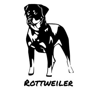 Rottweiler 